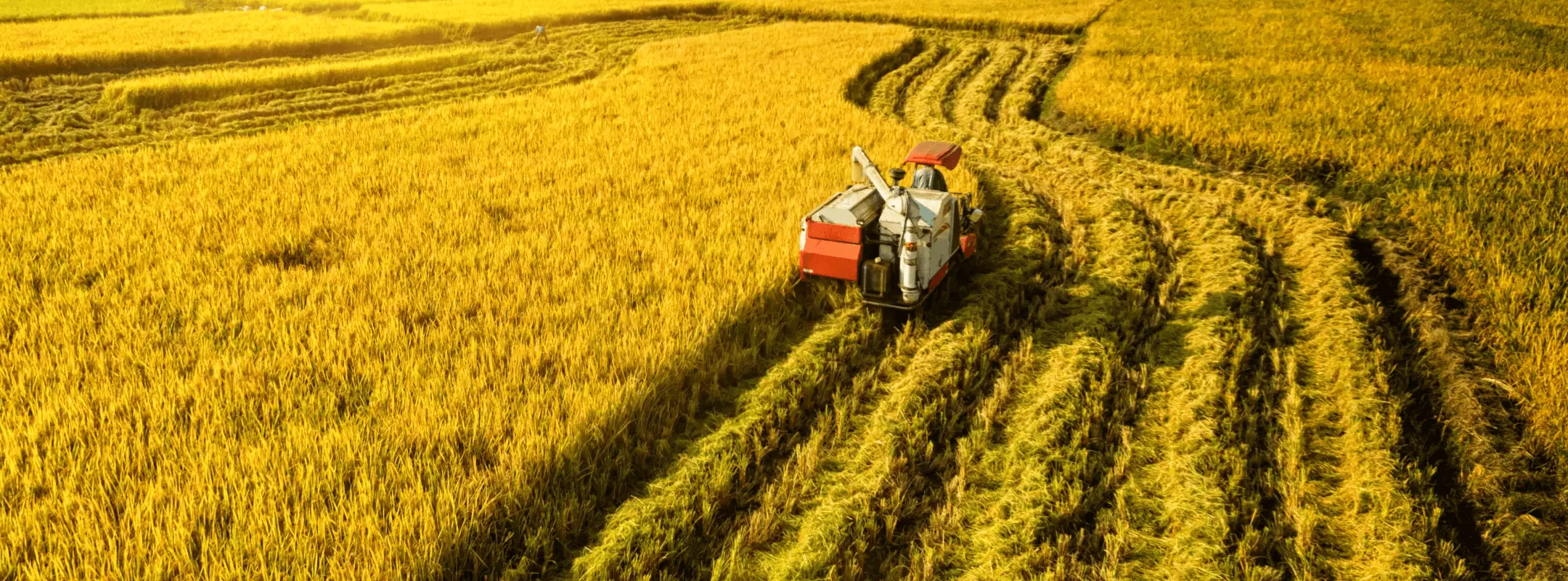 Confiez l’ensemble de vos travaux agricoles au Luxembourg